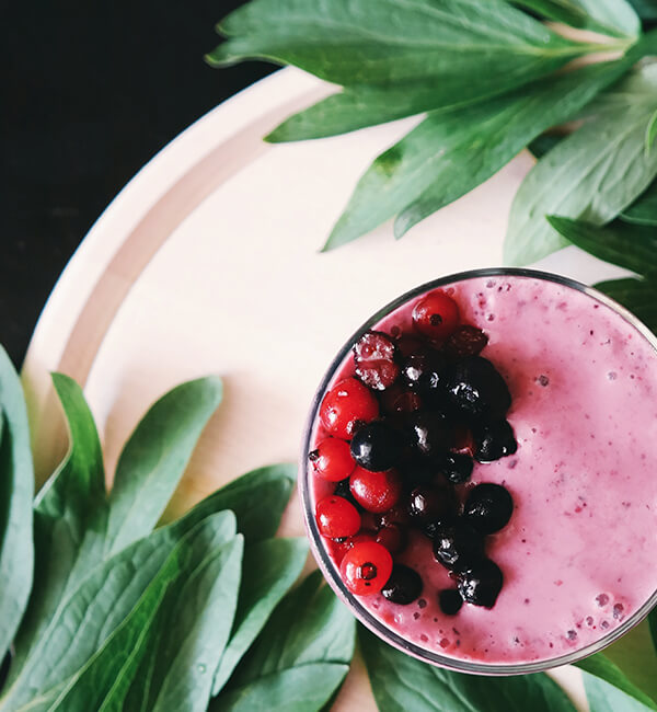 Decadent tiramisu dessert dusted with cocoa powder