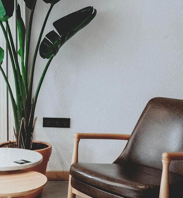 Beautifully plated Italian dessert, such as panna cotta or cannoli